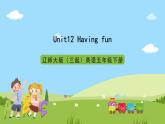 辽师大版（三起）英语五下Unit12《Having fun》课件