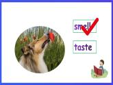 沪教牛津版（五四制）英语一下Module 1 Unit  3 《Taste and smell Period 1》课件