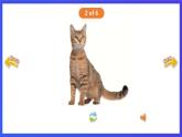 香港朗文版英语一年级下册 Chapter1《Choosing a pet》单词课件