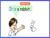 香港朗文版英语一年级下册 Chapter1《Choosing a pet》语法课件