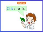 香港朗文版英语一年级下册 Chapter1《Choosing a pet》语法课件