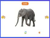 香港朗文版英语一年级下册 Chapter3《Wild animals》单词课件下