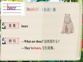 Unit 7 Animals 单词讲解（课件）-2024-2025学年译林版（三起）（2024）英语三年级下册