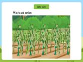 沪教牛津版（六三制一起）英语六下 Unit 12《The five peas》Let's learn more 课件+教案+分层作业+素材