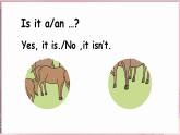 Unit 4  On the farm Lesson 3 The wolf and the little sheep（课件+素材）-2024-2025学年冀教版（三起）（2024）英语三年级下册