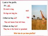 Unit 5  At the zoo Lesson 4 My favourite animal（课件+素材）-2024-2025学年冀教版（三起）（2024）英语三年级下册