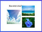 新概念英语(青少版)英语1B  Unit 21《Breakfast blues》课件+讲义+素材