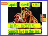新概念英语(青少版)英语2B Unit 30 《A giant squid》课件+素材