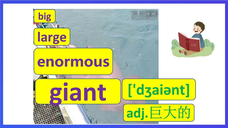 新概念英语(青少版)英语2B Unit 30 《A giant squid》课件第3页