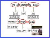新概念英语(青少版)英语3B Unit 29 《Sparkling still or tap》课件+素材