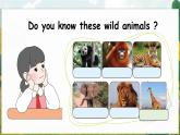 Unit 1 Animal friends 第1课时 Start up（课件+素材）-2024-2025学年外研版（三起）（2024）英语三年级下册