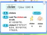Unit 5 animal 单词讲解（课件）-2024-2025学年人教精通版（三起）（2024）英语三年级下册
