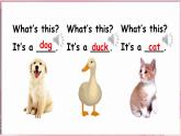 Unit 4  On the farm Lesson 1 Welcome to the farm（课件+素材）-2024-2025学年冀教版（三起）（2024）英语三年级下册
