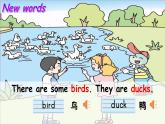 Unit 4  On the farm Lesson 2 How many ducks（课件+素材）-2024-2025学年冀教版（三起）（2024）英语三年级下册