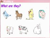 Unit 4  On the farm Lesson 4  I like all farm animals（课件+素材）-2024-2025学年冀教版（三起）（2024）英语三年级下册