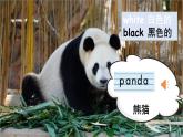 Unit 5  At the zoo Lesson 1 The zoo is fun!（课件+素材）-2024-2025学年冀教版（三起）（2024）英语三年级下册