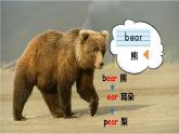 Unit 5  At the zoo Lesson 2  What do they eat（课件+素材）-2024-2025学年冀教版（三起）（2024）英语三年级下册
