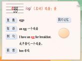 Unit 6 There is an egg here 单词讲解（课件）-2024-2025学年湘少版（三起）英语三年级下册