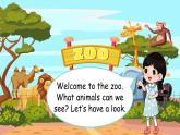 Unit 8 I come from China Part E-G（课件+素材）-2024-2025学年湘少版（三起）英语四年级下册