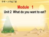 Module 1 （Unit 2 What do you want to eat）（课件）