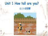Unit 1 How tall are you ？重点知识讲解（课件）