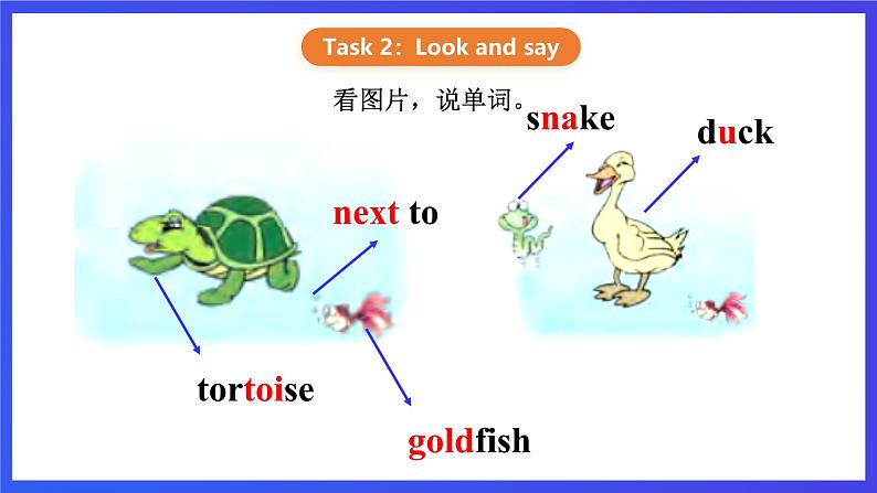 【核心素养】川教版英语四下 Unit3 Lesson 2《There is a red goldfish》第2课时 课件第7页