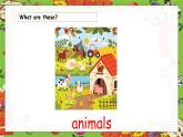 Unit6 On the farm class lead-in & cartoon time（課件）-2024-2025學(xué)年譯林版（三起）（2024）英語三年級下冊