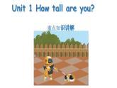 Unit 1 How tall are you ？重点知识讲解（课件）人教PEP版英语六年级下册