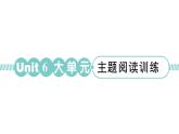 小学英语新湘少版三年级下册Unit 6 There is an egg here大单元 · 主题阅读训练作业课件2025春