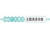 小學(xué)英語新湘少版三年級下冊Unit 7 Wash your hands大單元 · 主題閱讀訓(xùn)練作業(yè)課件2025春