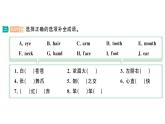 小學(xué)英語新湘少版三年級下冊Unit 7 Wash your hands第一課時作業(yè)課件2025春