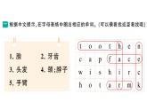小學(xué)英語新湘少版三年級下冊Unit 7 Wash your hands第二課時作業(yè)課件2025春