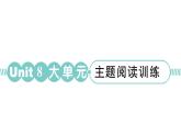 小學(xué)英語新湘少版三年級(jí)下冊(cè)Unit 8 Children's Day大單元 · 主題閱讀訓(xùn)練作業(yè)課件2025春