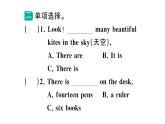 小学英语新湘少版三年级下册Units６~10易错题作业课件2025春
