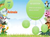 Unit7 Animals lead-in & cartoon time（课件）-2024-2025学年译林版（三起）（2024）英语三年级下册