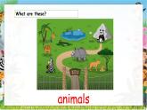 Unit7 Animals lead-in & cartoon time（课件）-2024-2025学年译林版（三起）（2024）英语三年级下册