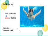 Unit 3 Lesson 17 Danny's Summer Holiday（课件）冀教版（三起）英语六年级下册