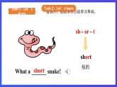 【核心素养】川教版英语三下 《Lesson L What a beautiful kite!》课件+教案+分层练习+素材