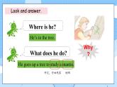 外研版（三起）（2024）英語三年級下冊 Unit 4  What's your hobby 第2課時 Speed up（課件）