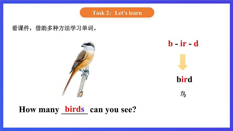 【核心素养】北京版英语一下 Unit 4《How many stars can you see》Lesson 14 第一课时 课件第4页