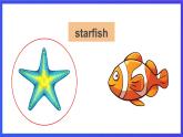 教科版（广州）英语六年级下册Module 2 Unit 3 《What animal is it》 Lesson 2 课件