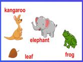教科版（廣州）英語六年級(jí)下冊(cè)Module 2 Unit 4 《We can save the animals》Lesson 1 課件