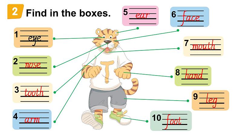 小学英语新外研版Join In剑桥三年级下册Supplementary activitiesUnit 2教学课件2025春第3页