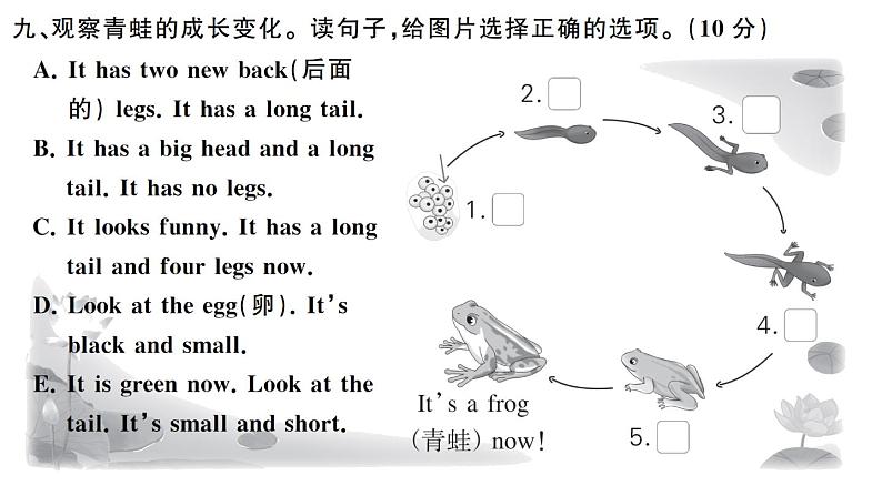 小学英语新人教PEP三年级下册Unit 2 综合素养评价作业课件(笔试部分）2025春第6页