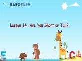Unit 3 Lesson 14  Are You Short or Tall？（課件）冀教版（三起）英語(yǔ)四年級(jí)下冊(cè)