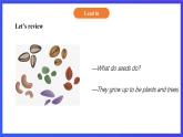 【核心素养】北京版英语五下 Unit 2《What do flowers do？》Lesson 7 课件+教案+练习+素材