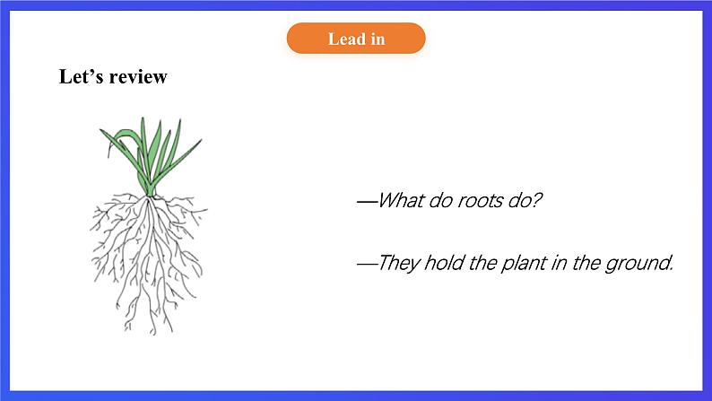 【核心素养】北京版英语五下 Unit 2《What do flowers do？》Lesson 7 课件第8页