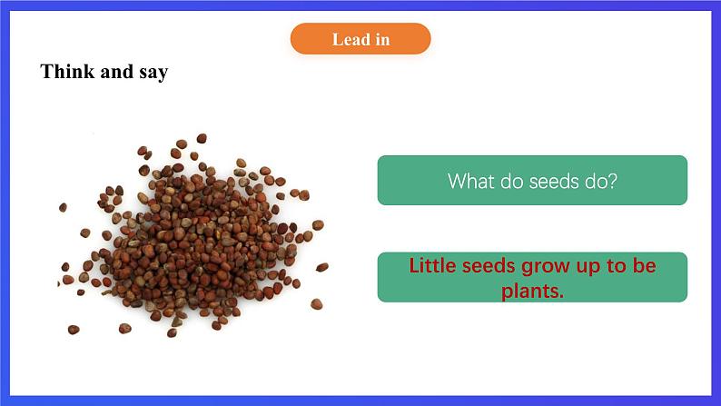 【核心素养】北京版英语五下 Unit 3《How do seeds travel？》Lesson 9 课件第5页