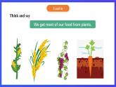 【核心素养】北京版英语五下 Unit 3《How do seeds travel？》Lesson 11 课件+教案+练习+素材