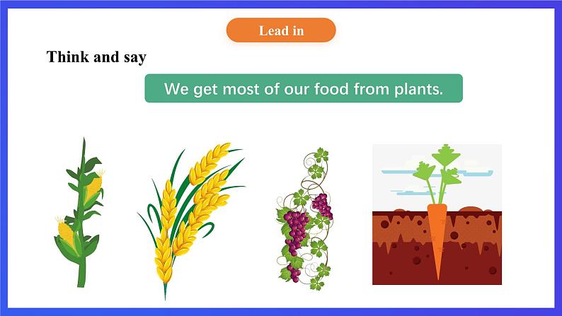 【核心素养】北京版英语五下 Unit 3《How do seeds travel？》Lesson 11 课件第5页